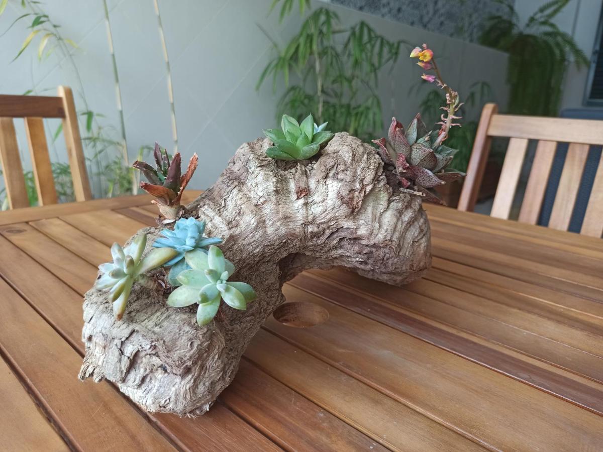 House Fifteen 奥尔塔 外观 照片